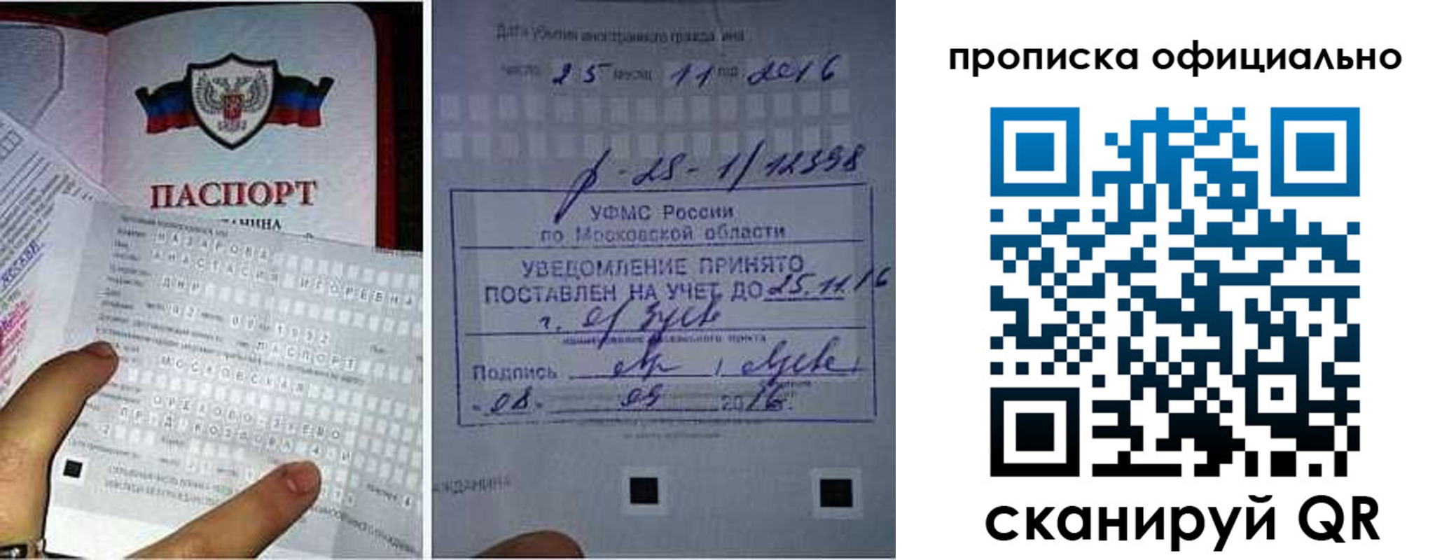 прописка паспорт в Заполярном